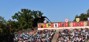 vol des oiseaux puy du fou