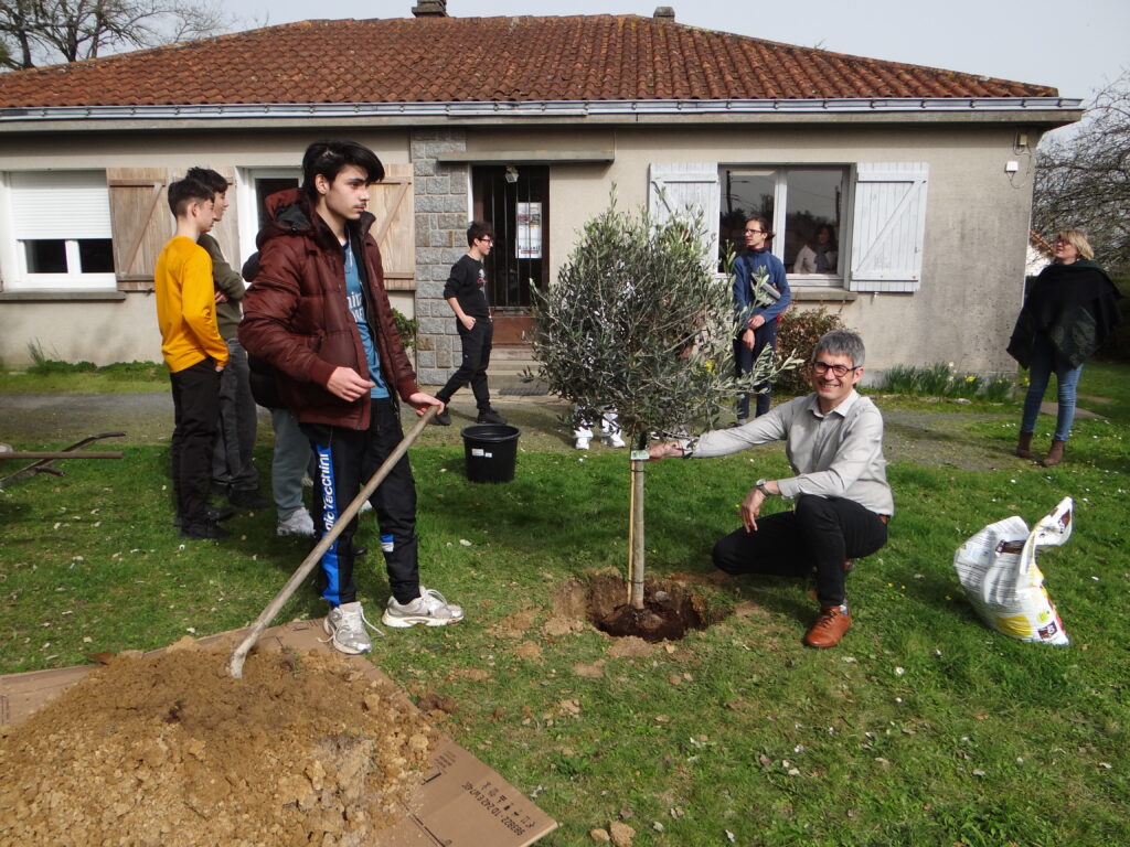 Un relais d’arbres pour symboliser fraternité et solidarité 3