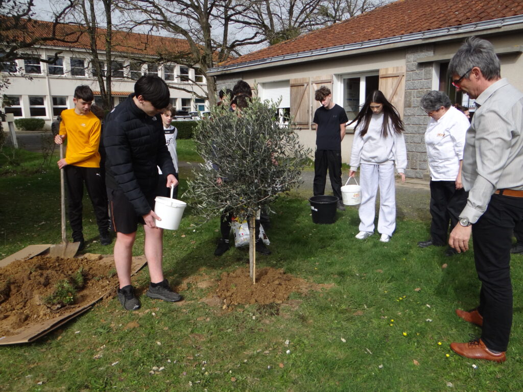 Un relais d’arbres pour symboliser fraternité et solidarité 1
