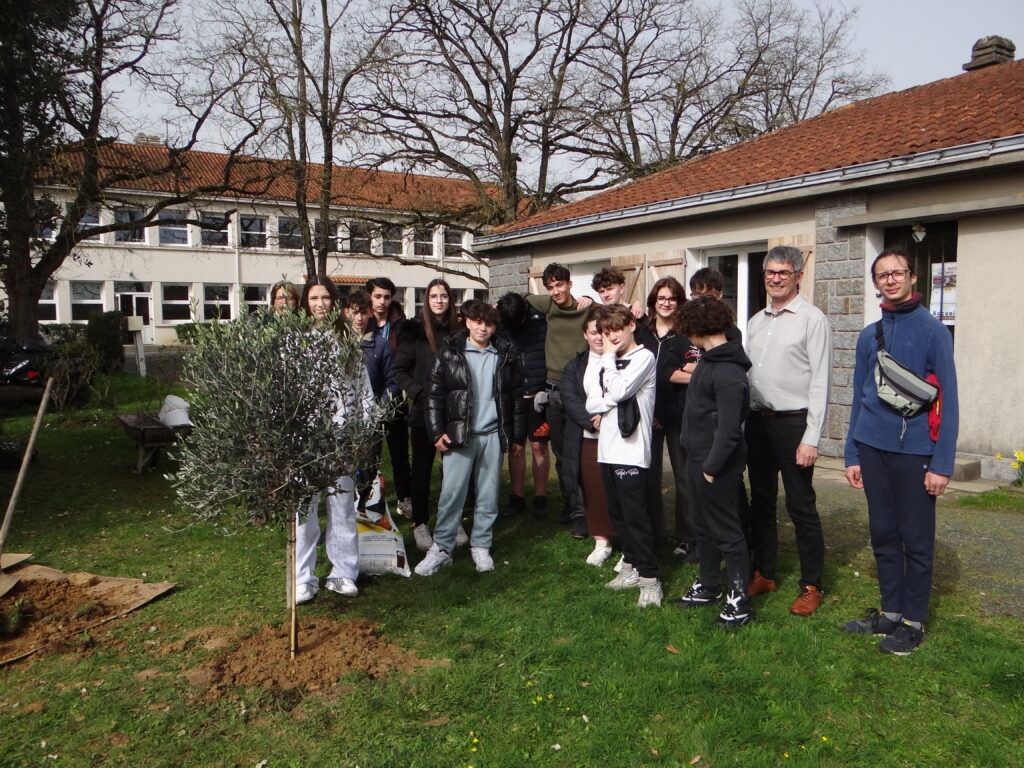 Un relais d’arbres pour symboliser fraternité et solidarité 5