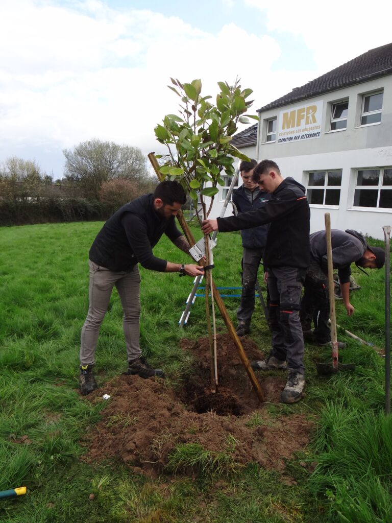 Un relais d’arbres pour symboliser fraternité et solidarité 7