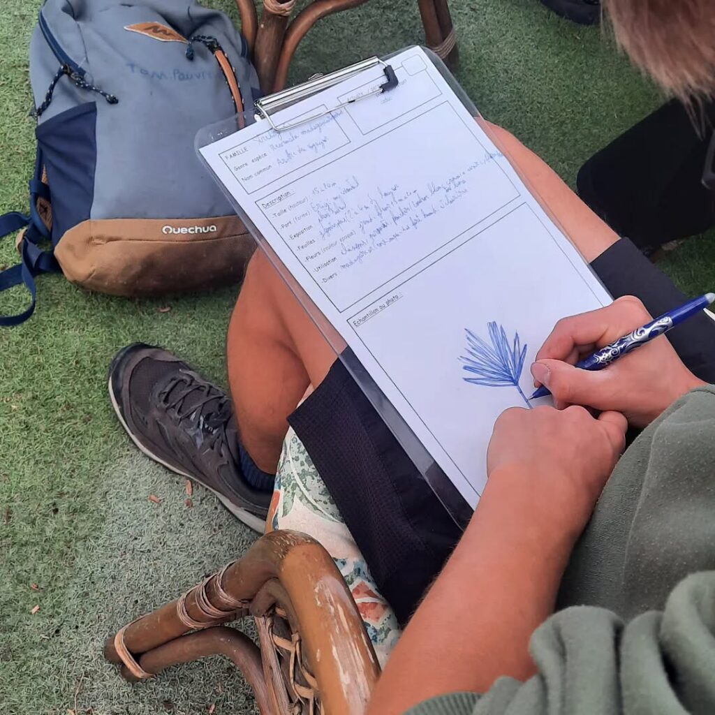 Un mois de septembre et mille façons d'apprendre en MFR 7 Un mois de septembre et mille façons d'apprendre en MFR 6